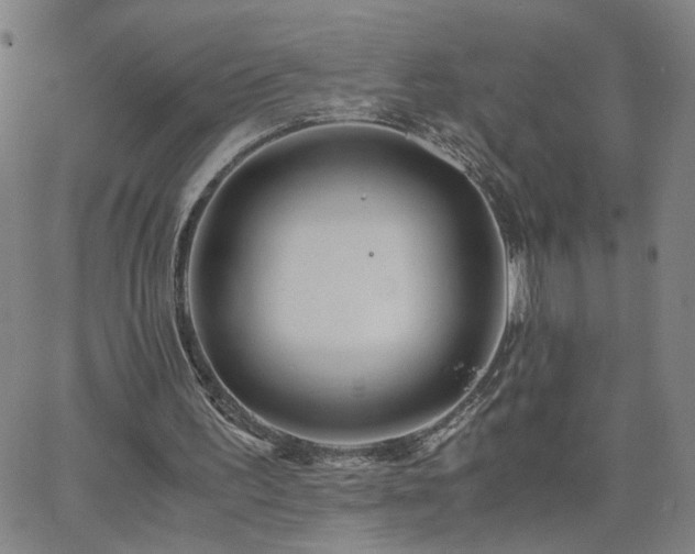 X0000062620195200512211212