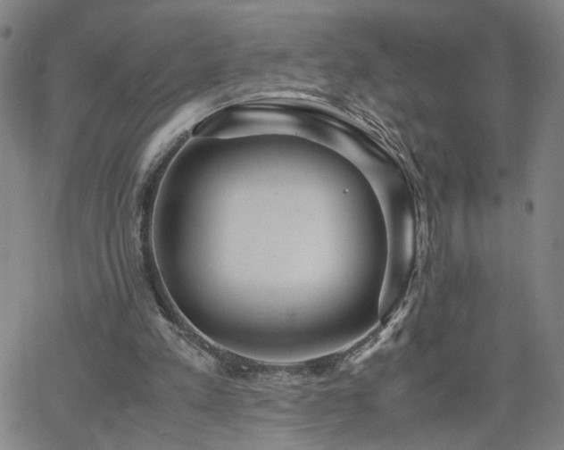 X0000062620197200512211212