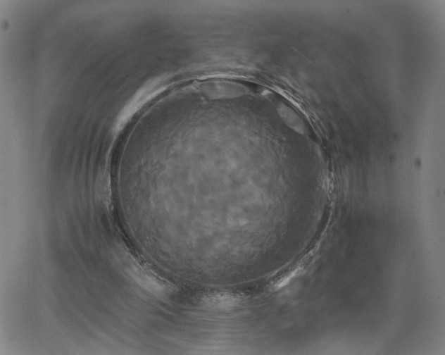 X0000062620198200512211212