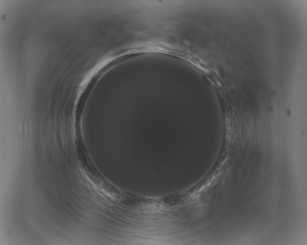 X0000062620200200512211212