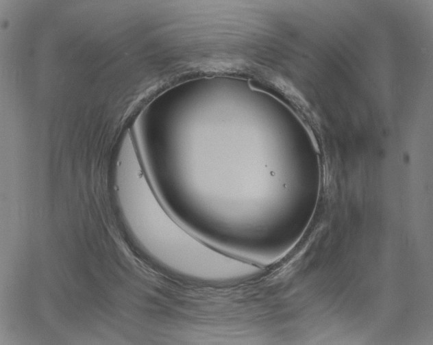 X0000062620201200512211212