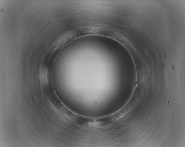 X0000062620216200512211211