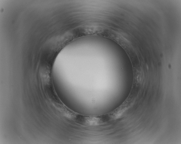 X0000062620226200512211211