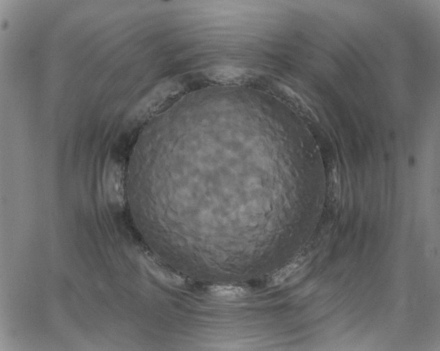 X0000062620234200512211211
