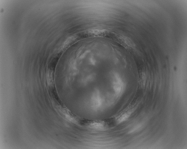 X0000062620236200512211211