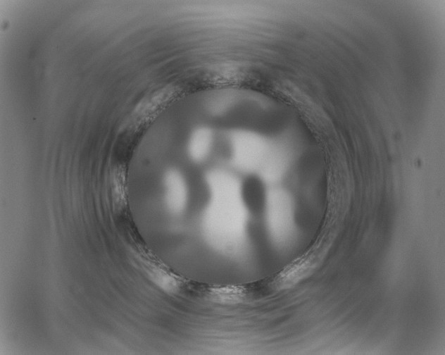 X0000062620240200512211211