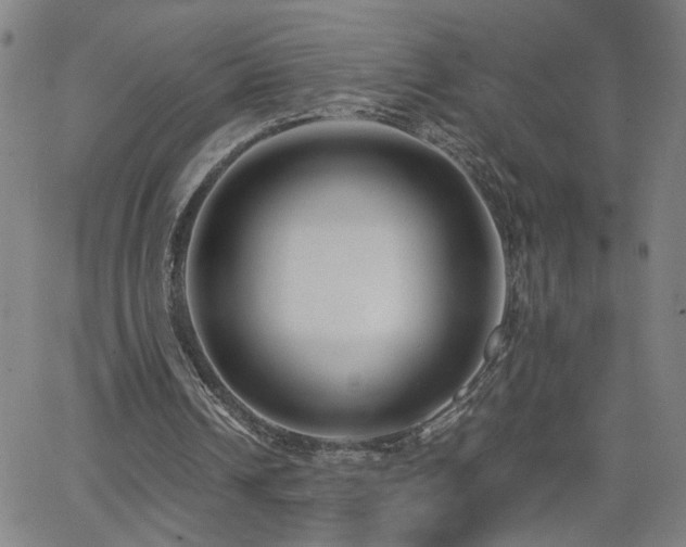 X0000062620242200512211210