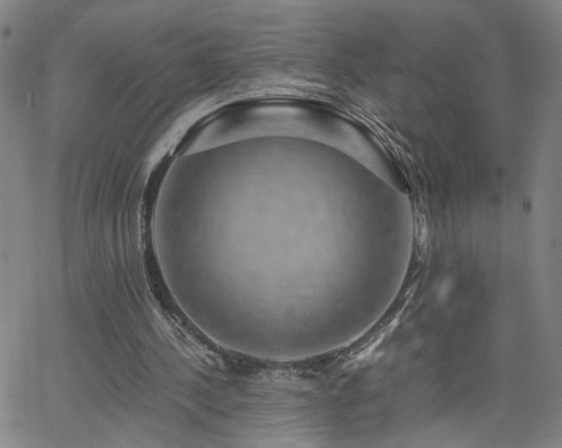 X0000062620244200512211210