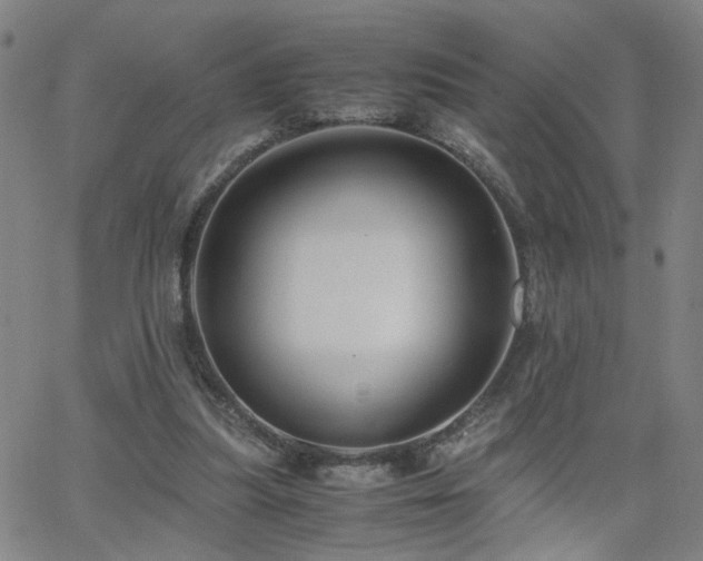 X0000062620251200512211210