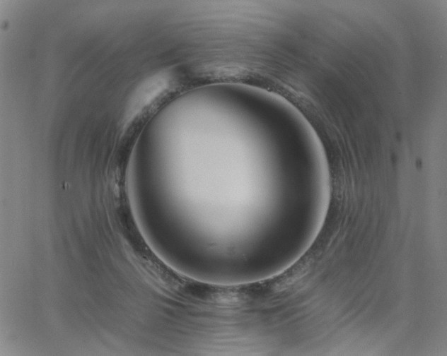 X0000062620264200512211210