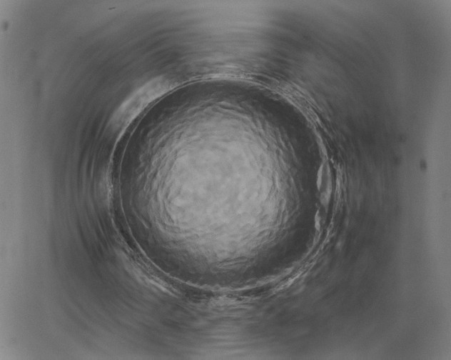 X0000062620290200512211210