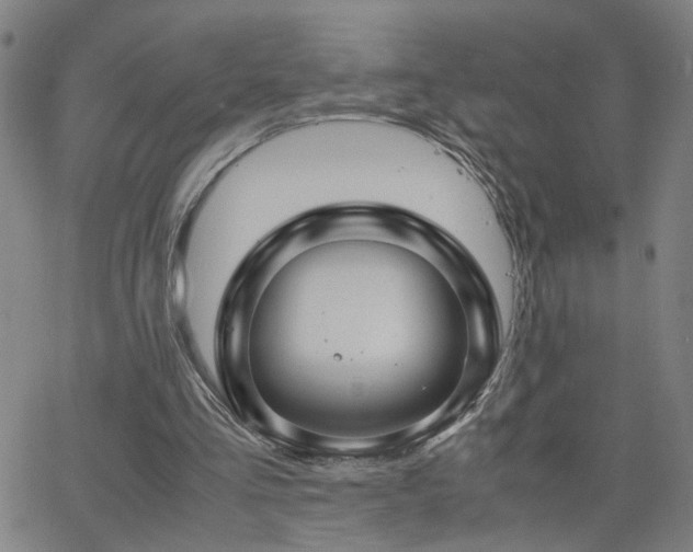 X0000062620293200512211210