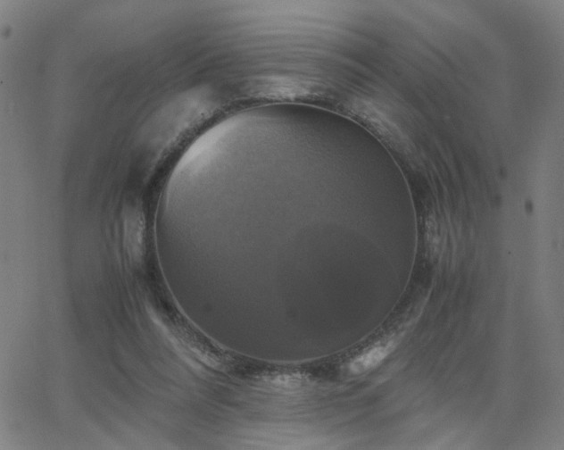 X0000062620304200512211210