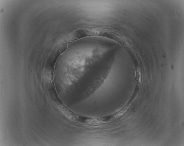 X0000062620331200512211209
