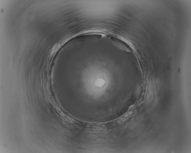 X0000062620337200512211208