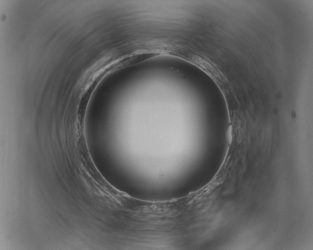 X0000062620338200512211208