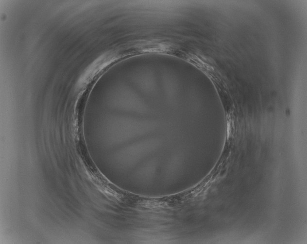 X0000062620339200512211208