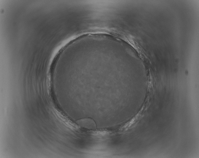 X0000062620342200512211209