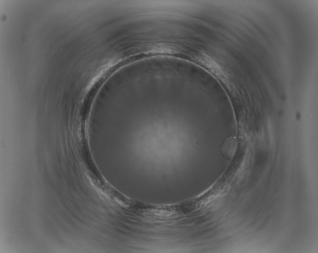 X0000062620347200512211209