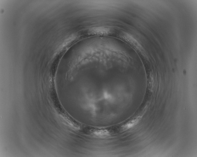 X0000062620355200512211209