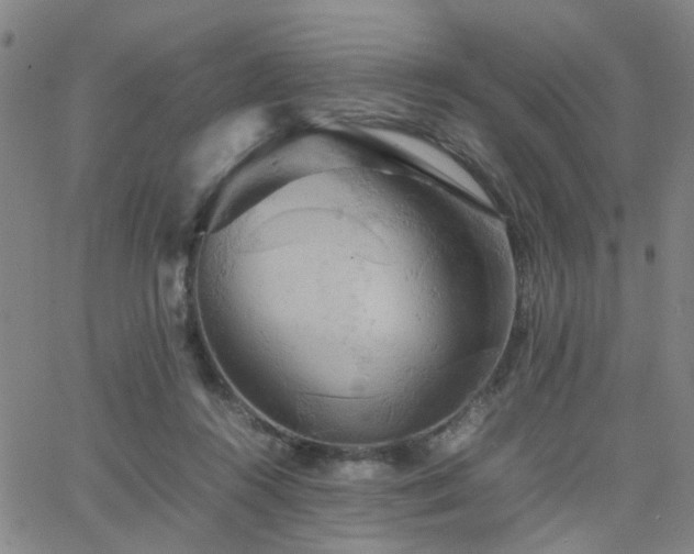 X0000062620360200512211209