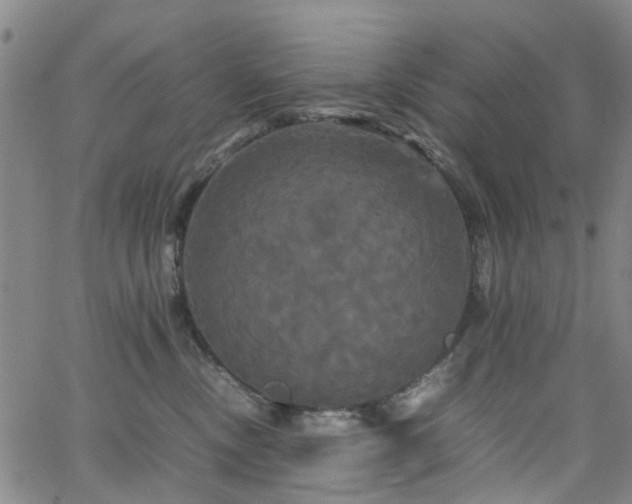 X0000062620378200512211209