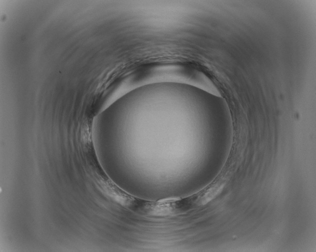 X0000062620384200512211209