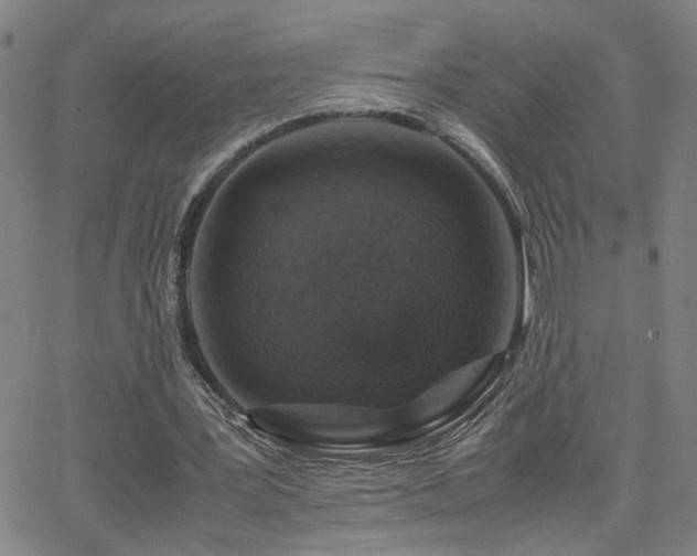 X0000062620387200512211208