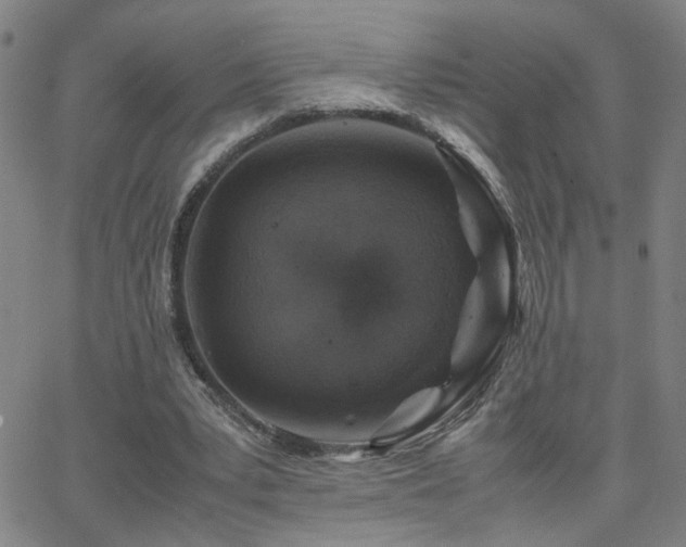 X0000062620391200512211208