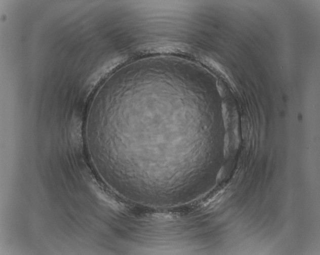 X0000062620394200512211208