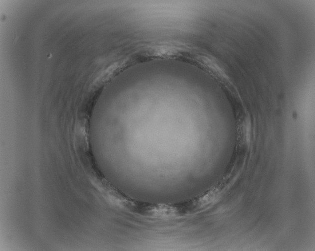 X0000062620415200512211208