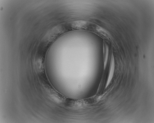 X0000062620420200512211208