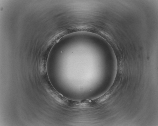 X0000062620428200512211208