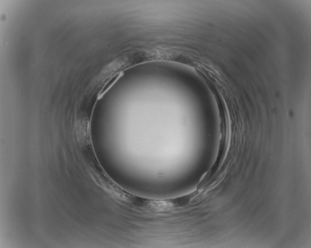 X0000062620429200512211208