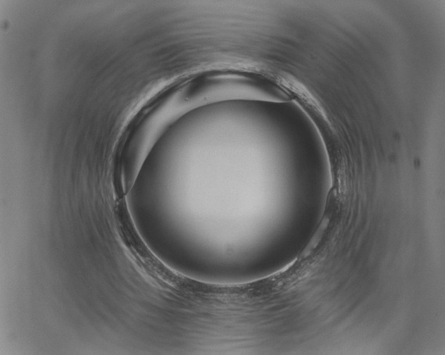 X0000062620436200512211207
