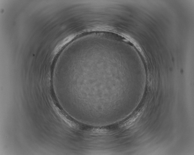 X0000062620437200512211207