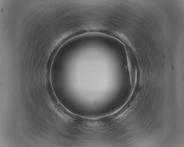 X0000062620439200512211207