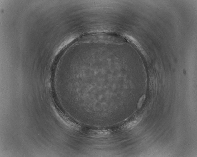 X0000062620443200512211207