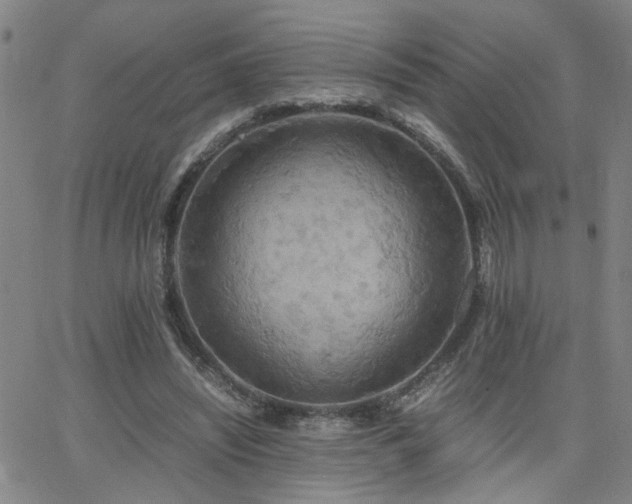 X0000062620444200512211207