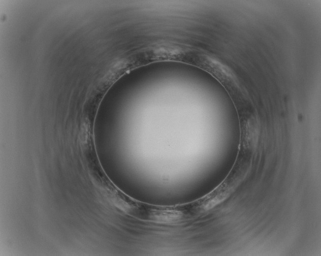 X0000062620463200512211207