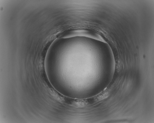 X0000062620466200512211207