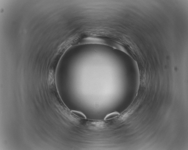 X0000062620478200512211208