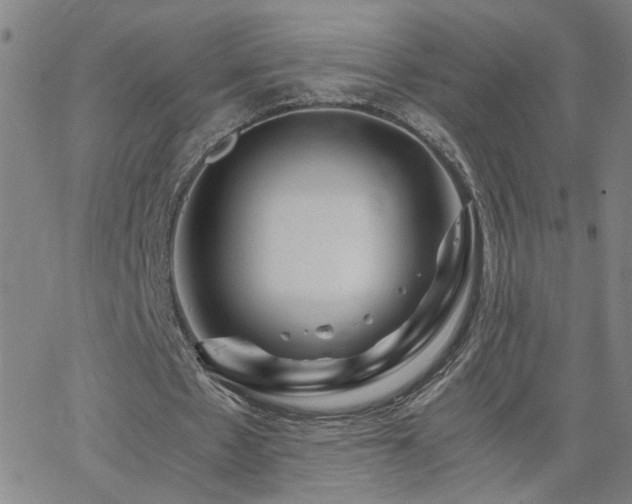 X0000062620481200512211207