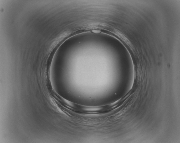 X0000062620485200512211207