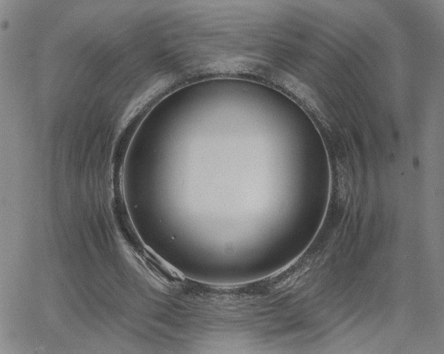 X0000062620486200512211207