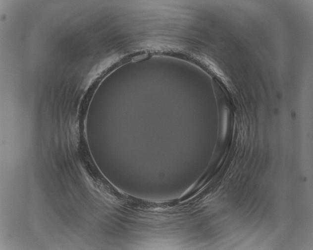 X0000062620488200512211207