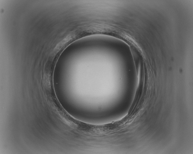 X0000062620489200512211207