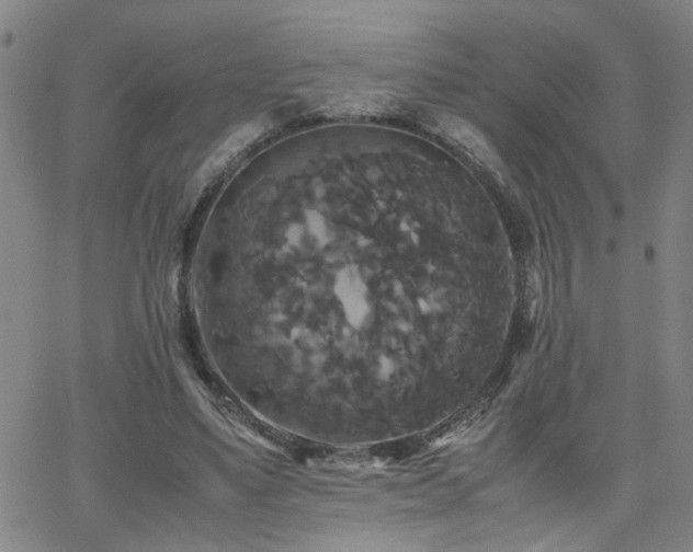 X0000062620491200512211207