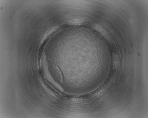 X0000062620494200512211207