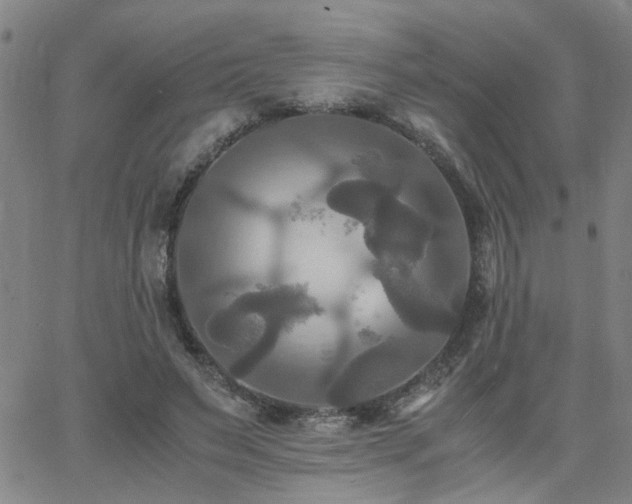 X0000062620495200512211207